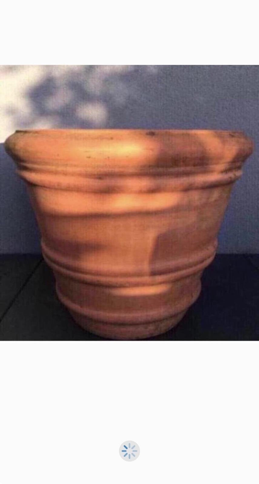 Mooie Unieke grote zware terracotta pot 48cm vorstbestend, Ophalen, Gebruikt, 40 cm of meer, Rond