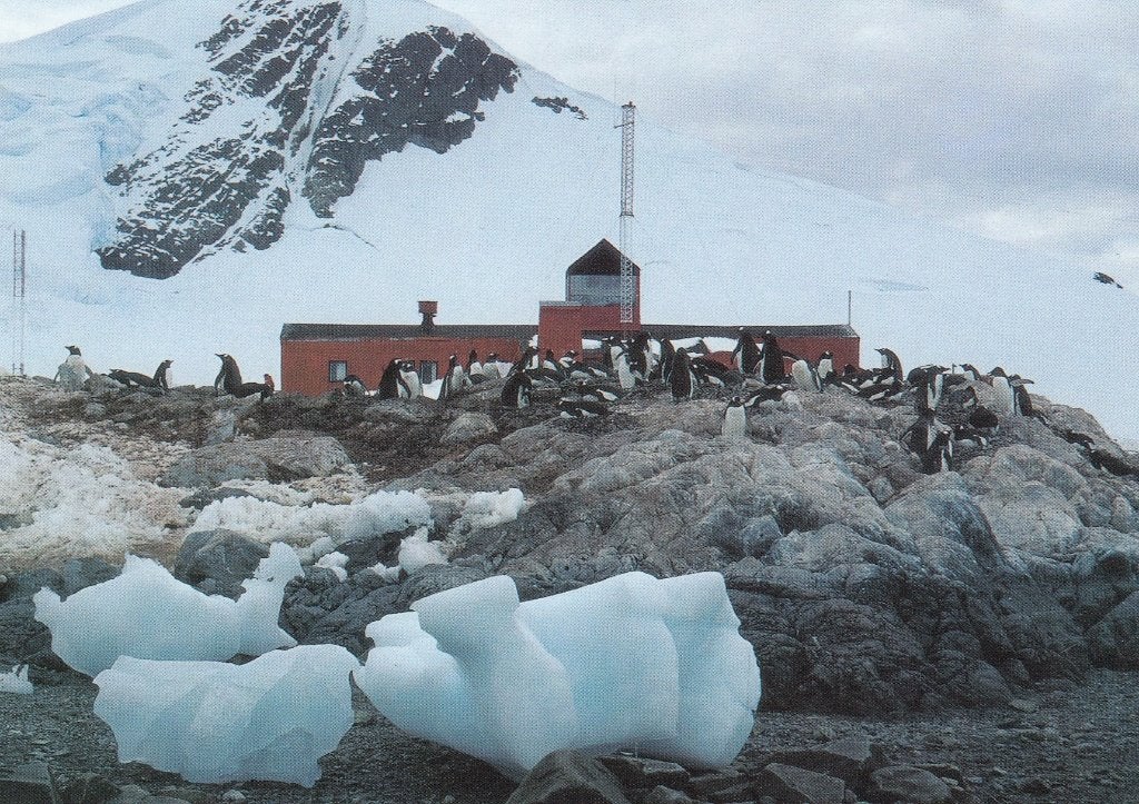 Ansichtkaart - 2001 - Antarctica - Pinguïns - Graham Island, Verzenden, 1980 tot heden, Ongelopen, Natuur