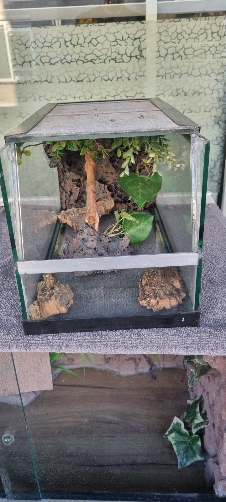 Terrarium 20x40x20, Ophalen, Zo goed als nieuw