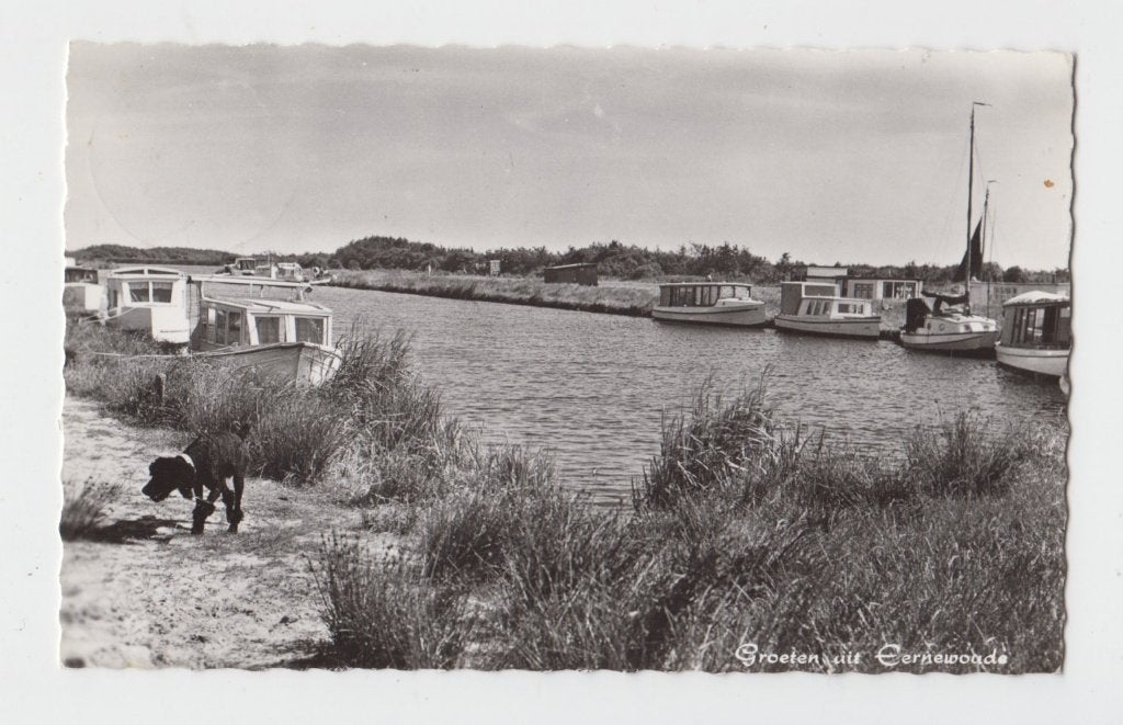 028 Eernewoude Bootjes Hond Groeten uit Eernewoude Verzonden, Verzenden, 1960 tot 1980, Gelopen, Friesland