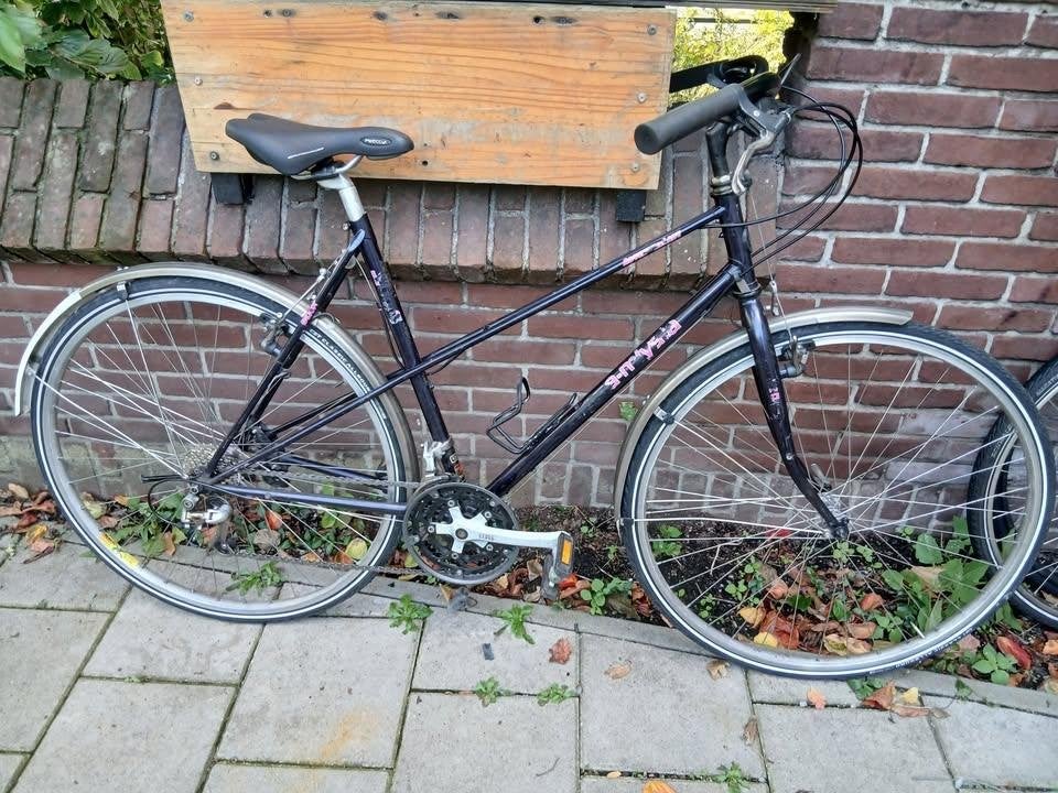 Koga Miyata Adventure Medium Size(54cm, Hand brakes), Ophalen, 53 tot 56 cm, Velgrem, Zo goed als nieuw