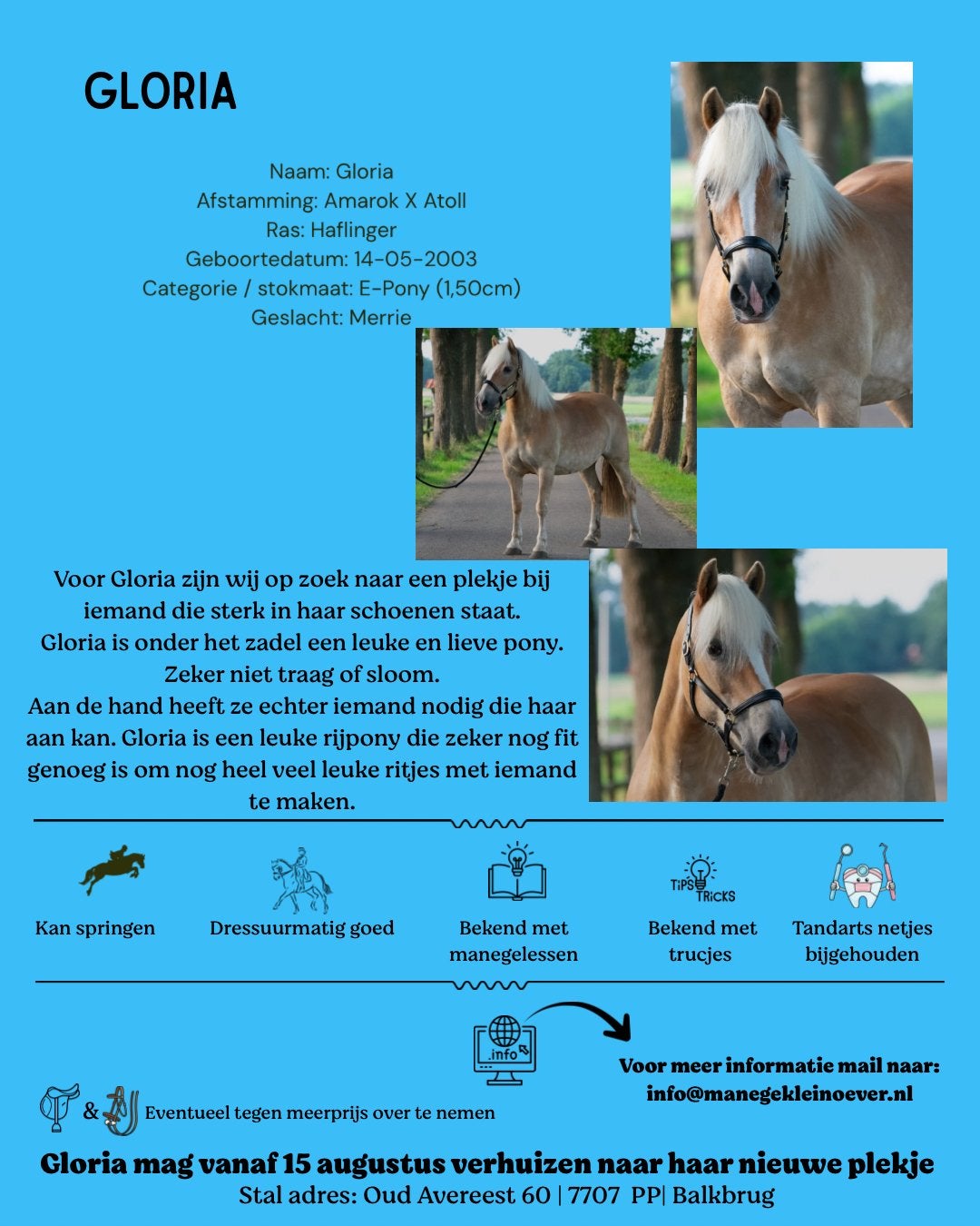2 leuke toppers te koop!, Meerdere dieren, Recreatiepaard