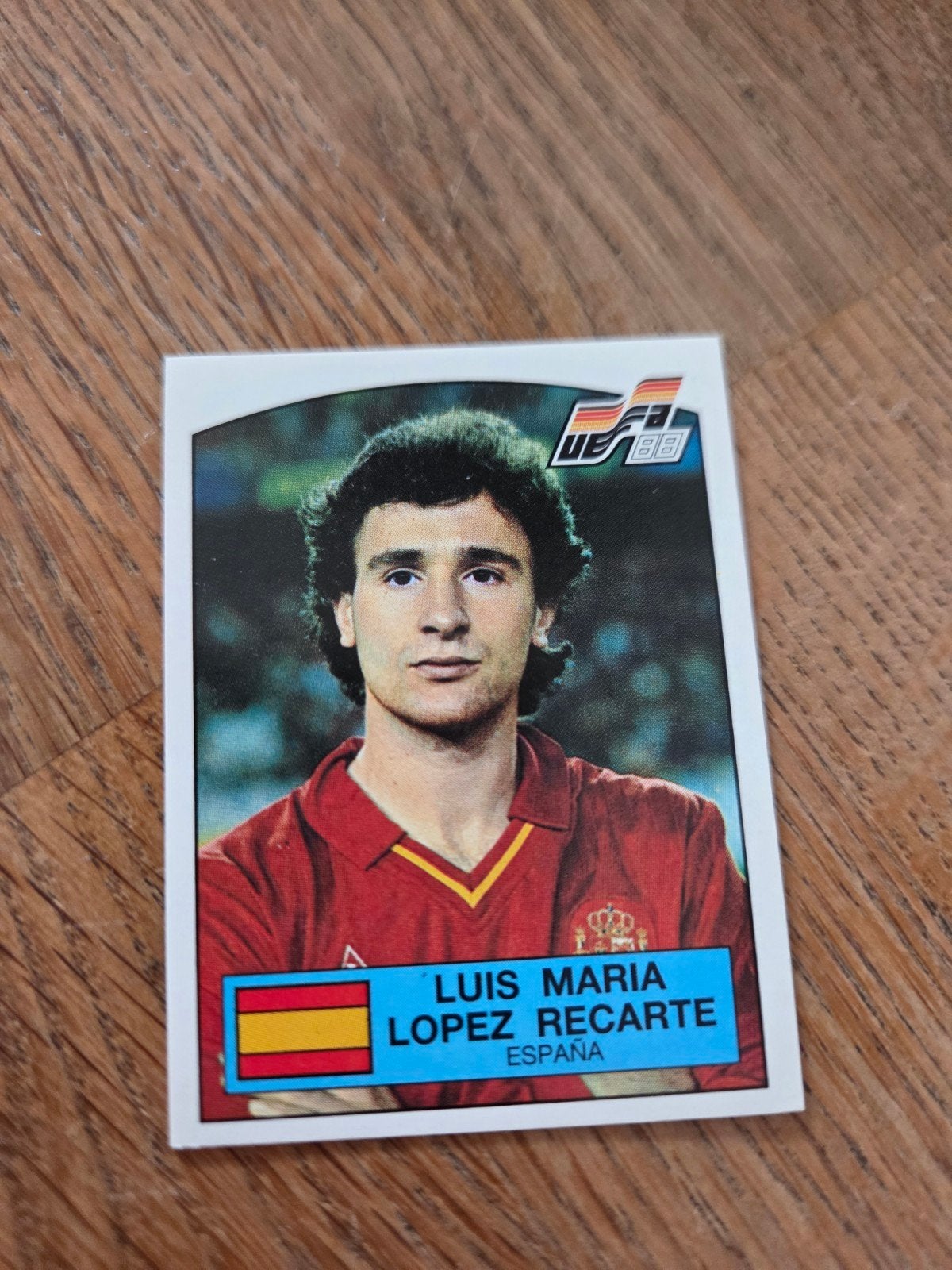 Panini EK 88, Ophalen of Verzenden, Zo goed als nieuw, Sticker