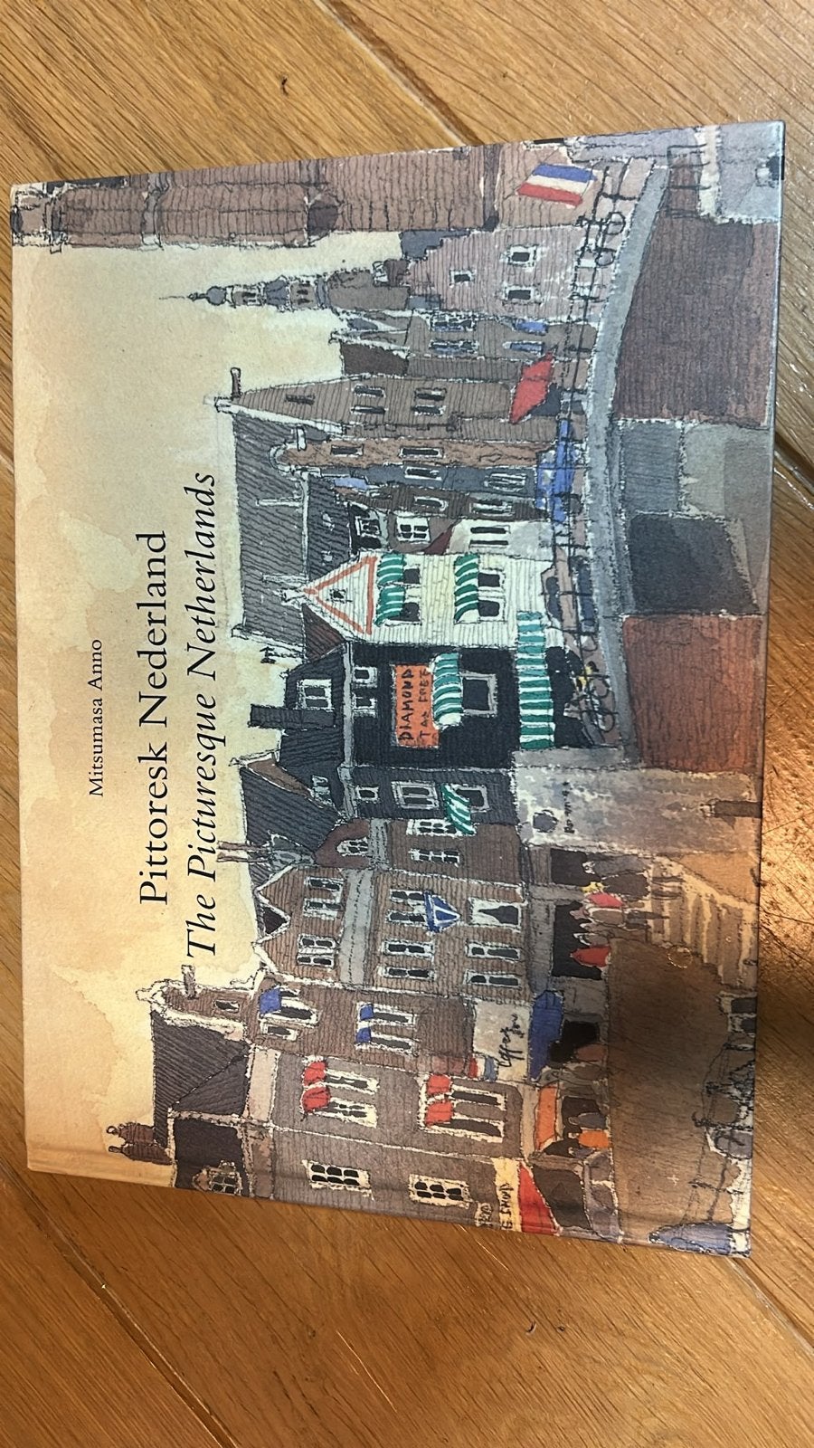 Pittoresk Nederland - The Picturesque Netherlands, Ophalen of Verzenden, Zo goed als nieuw, Overige onderwerpen