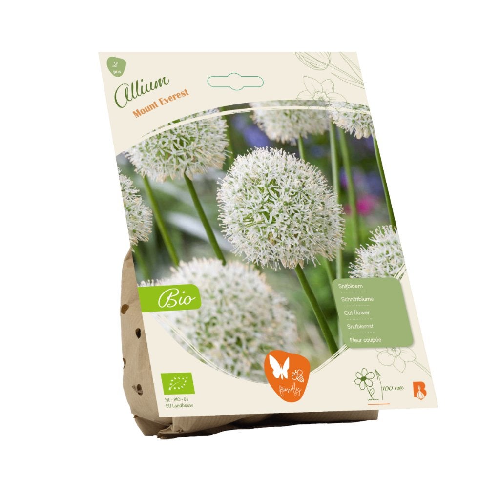 Sierui (Allium Mount Everest) BIOLOGISCH, Ophalen of Verzenden, Najaar, Volle zon, Bloembol