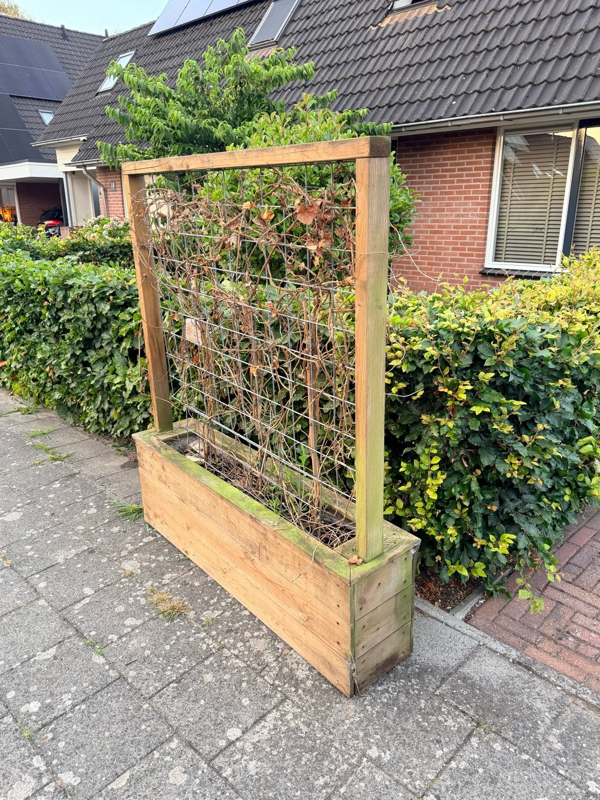 Houten plantenbak met klimrek, Tuin en Terras, Ophalen, Gebruikt, Balkon, 60 tot 100 cm