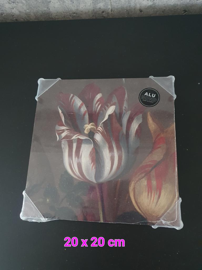 Nieuw schilderijtje 20x20 cm - Tulp op Alu Bond, Antiek en Kunst, Kunst | Schilderijen | Modern, Ophalen of Verzenden