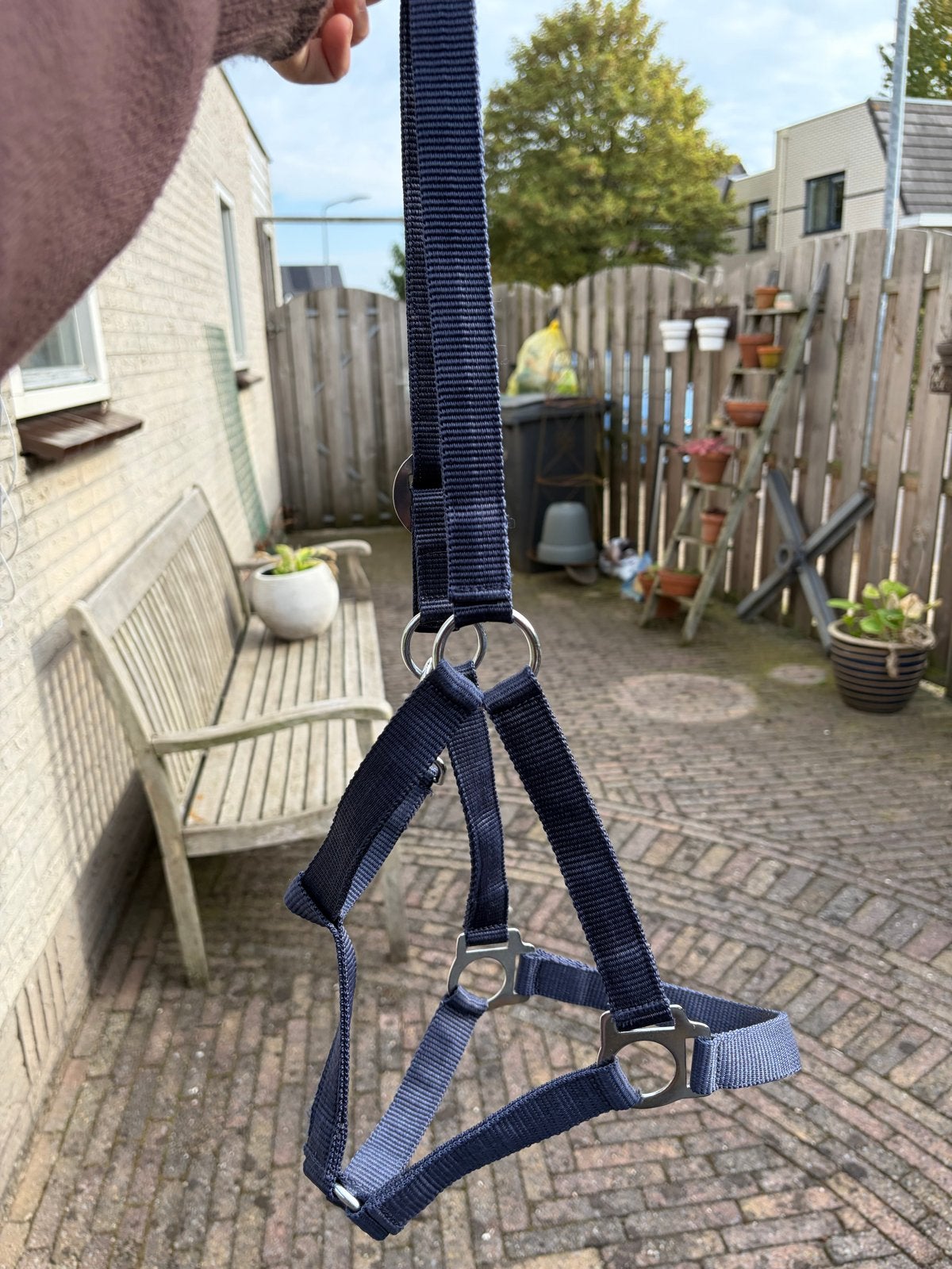 Blauw halster, Ophalen, Nieuw