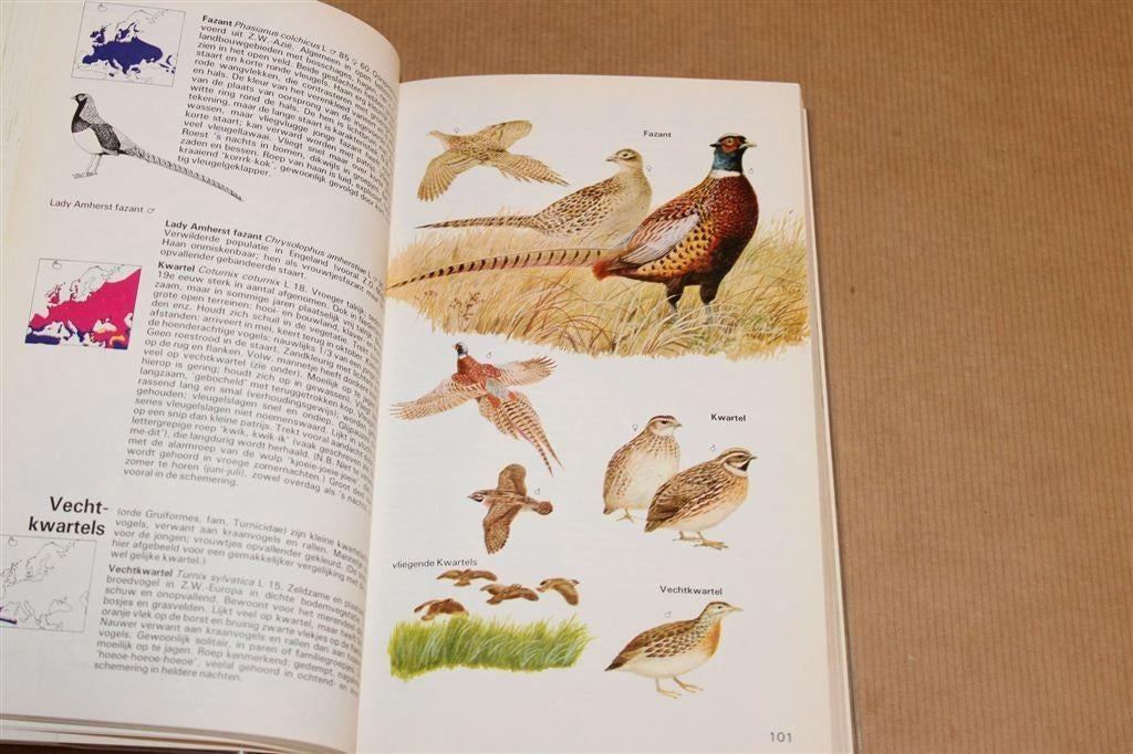 Bruun\'s / Thieme\'s Vogelgids — Alle Vogels van Europa, Ophalen of Verzenden, Gelezen, Vogels