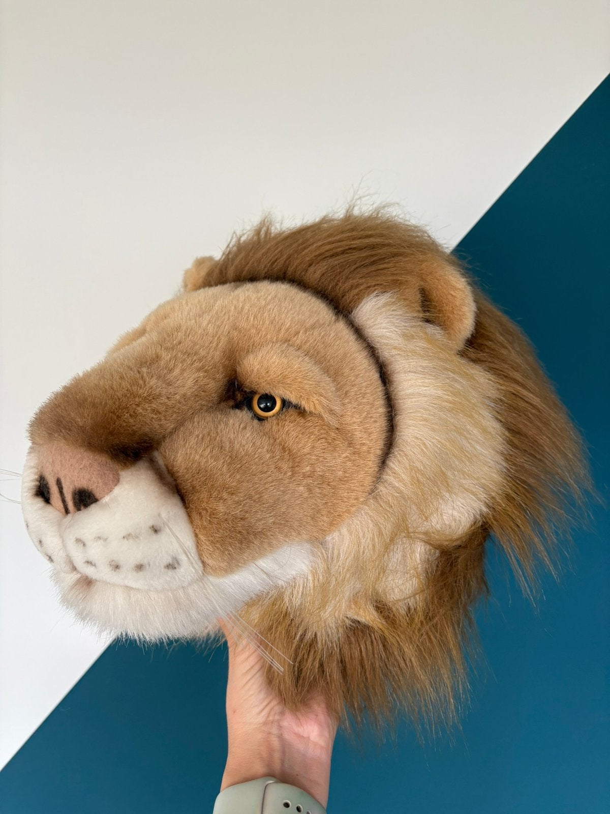 Prachtige kop van een leeuw  leuk voor de kinder slaapkamer, Ophalen of Verzenden, Zo goed als nieuw, Wanddecoratie