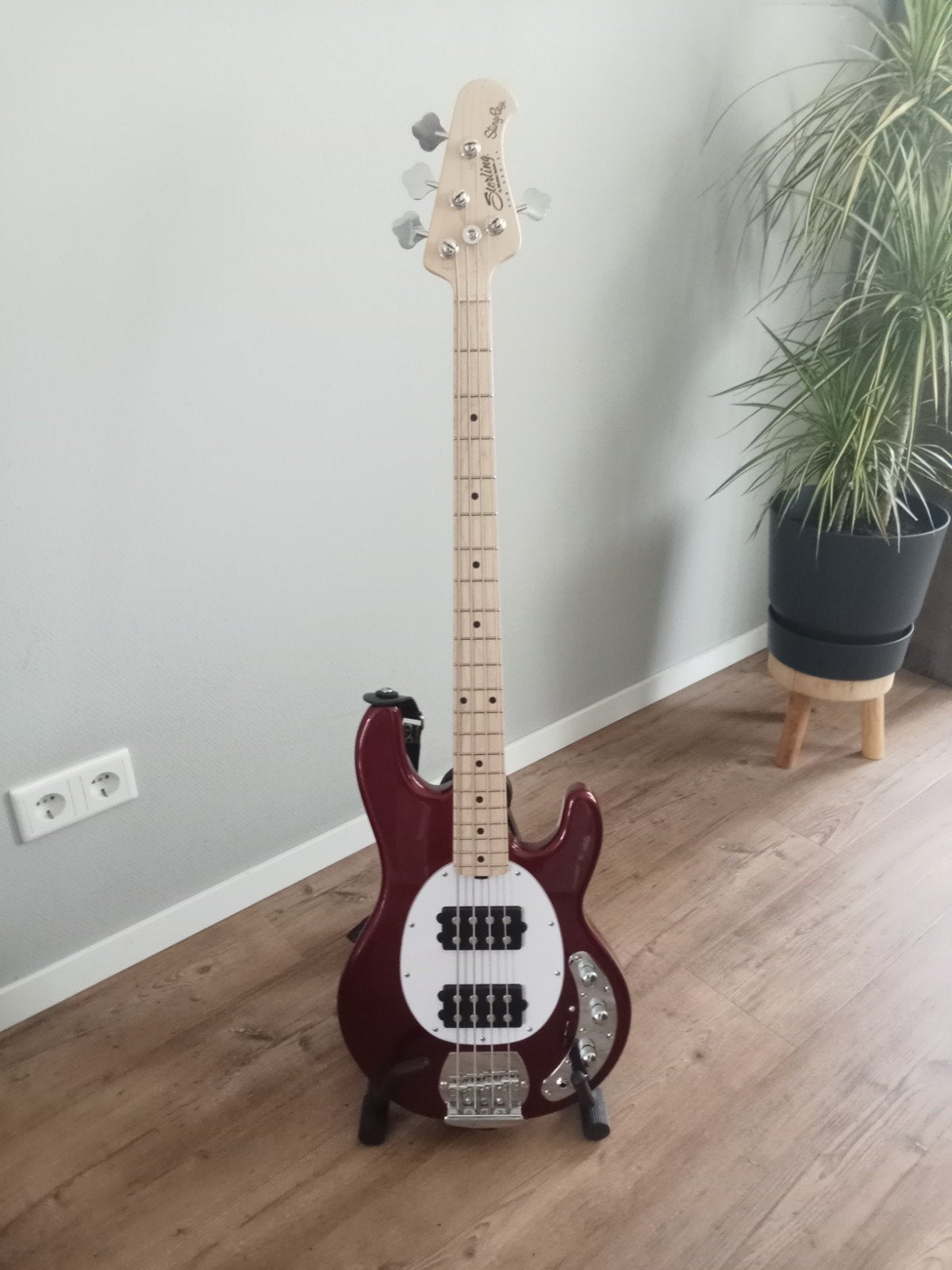 Sterling by Music Man StingRay SUB Series basgitaar, Ophalen, Zo goed als nieuw, Elektrisch
