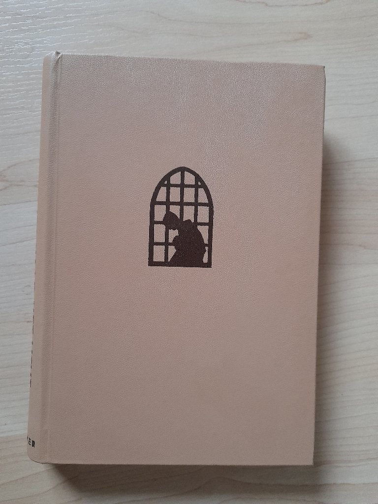 MIJN WEG NAAR HET LICHT   HJ Hegger, Ophalen of Verzenden, Gelezen