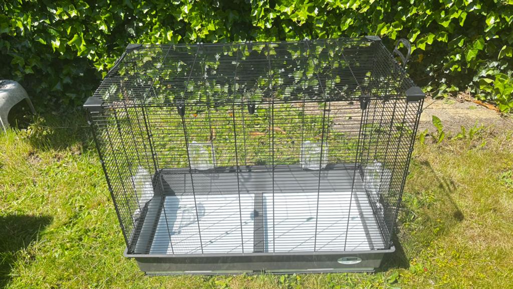 Vogelkooi Ferplast met extra’s, Dieren en Toebehoren, Ophalen, Zo goed als nieuw, Vogelkooi