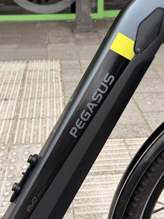 Pegasus EVO CX, Gebruikt, Overige merken