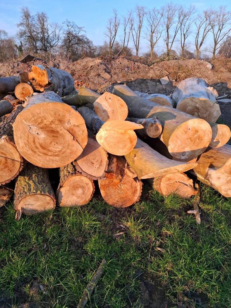 Hout te koop, Tuin en Terras, Minder dan 3 m³, Ophalen of Verzenden