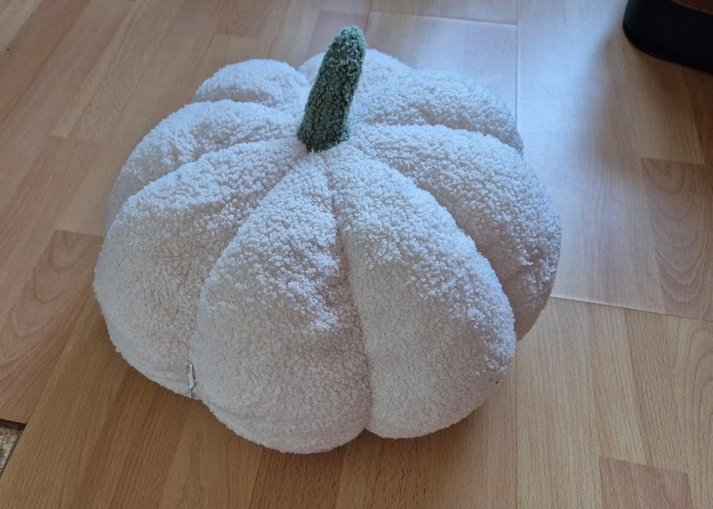 Mooi kussen doorsnede ruim 28 cm. Nieuw, Ophalen of Verzenden, Nieuw, Wit, Rond