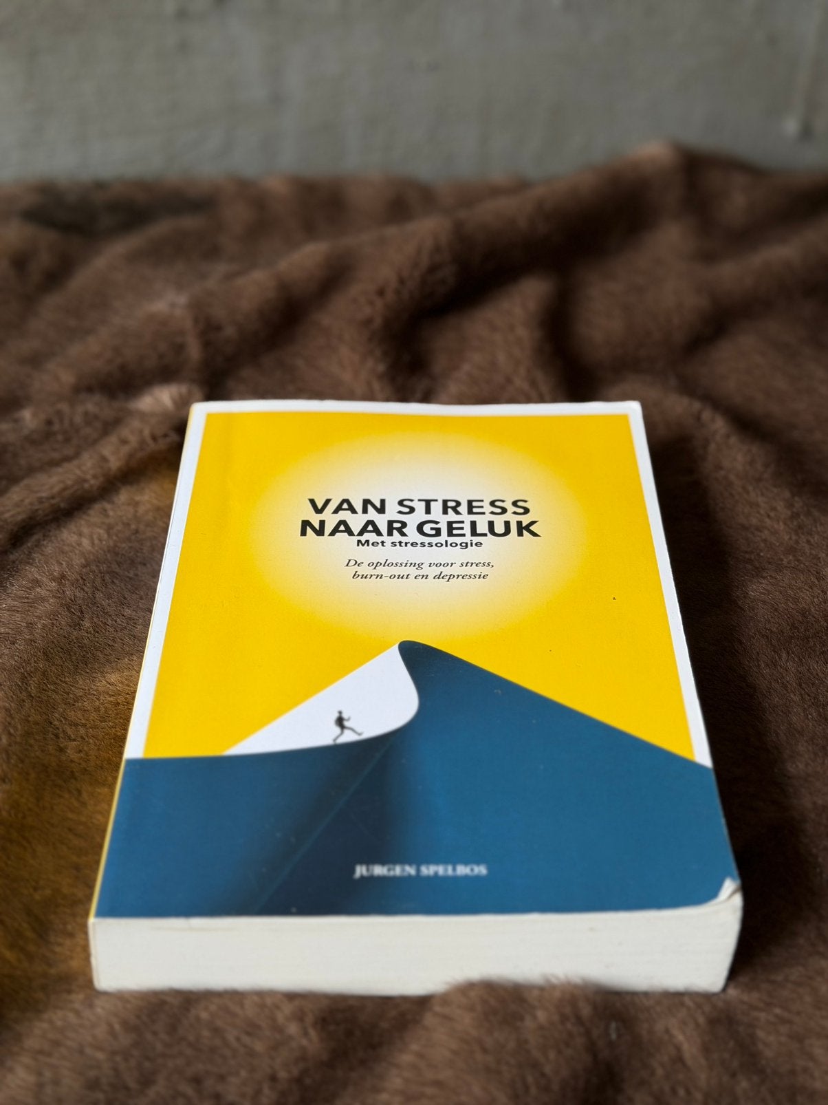 Van stress naar geluk – Jurgen Spelbos, Ophalen of Verzenden, Nieuw, Overige uitgevers, Nederlands