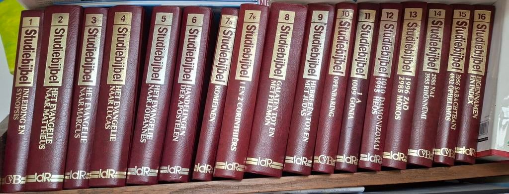 17-delige Studiebijbel Nieuwe Testament, Boeken, Ophalen of Verzenden