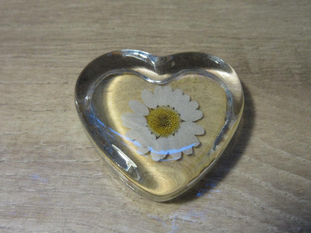Vintage hart press paper met droogbloem, Ophalen of Verzenden, Huis en Inrichting