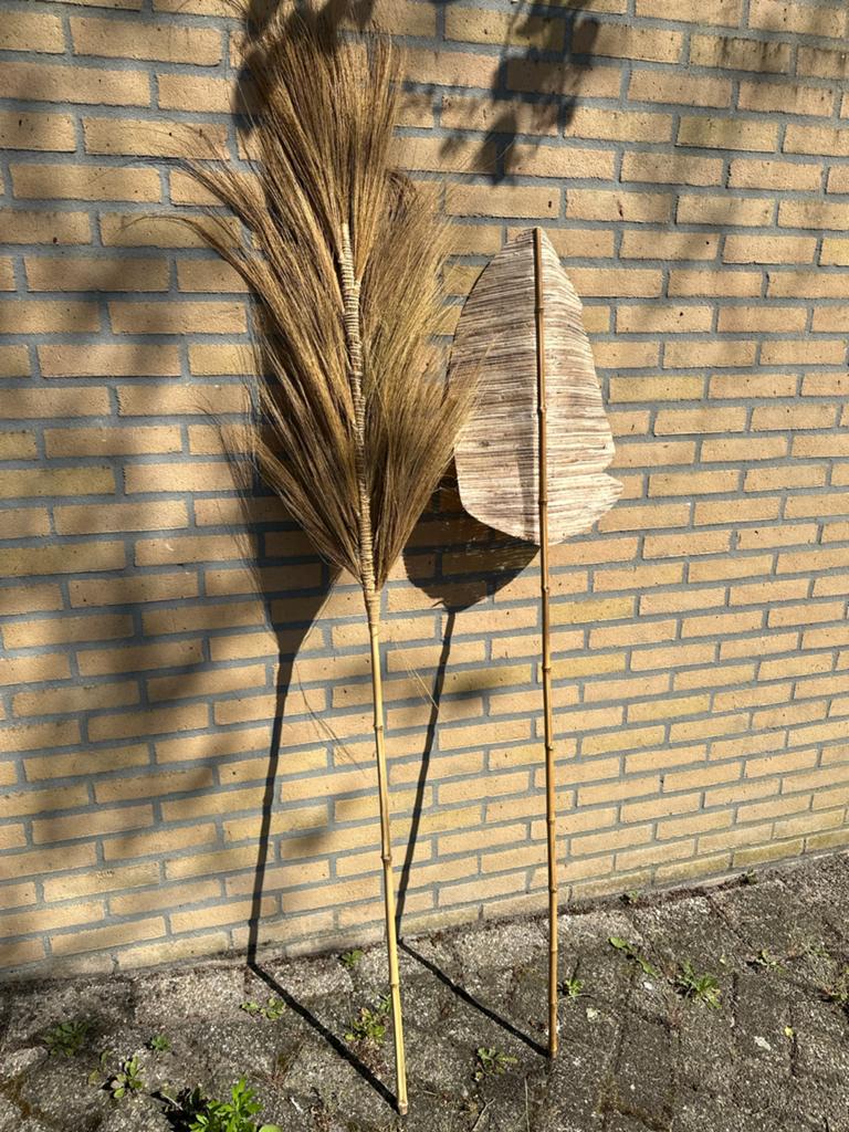 Decoratieve pluimen en blad op bamboestok, Ophalen, Gebruikt, Boho, Natuurlijk materiaal