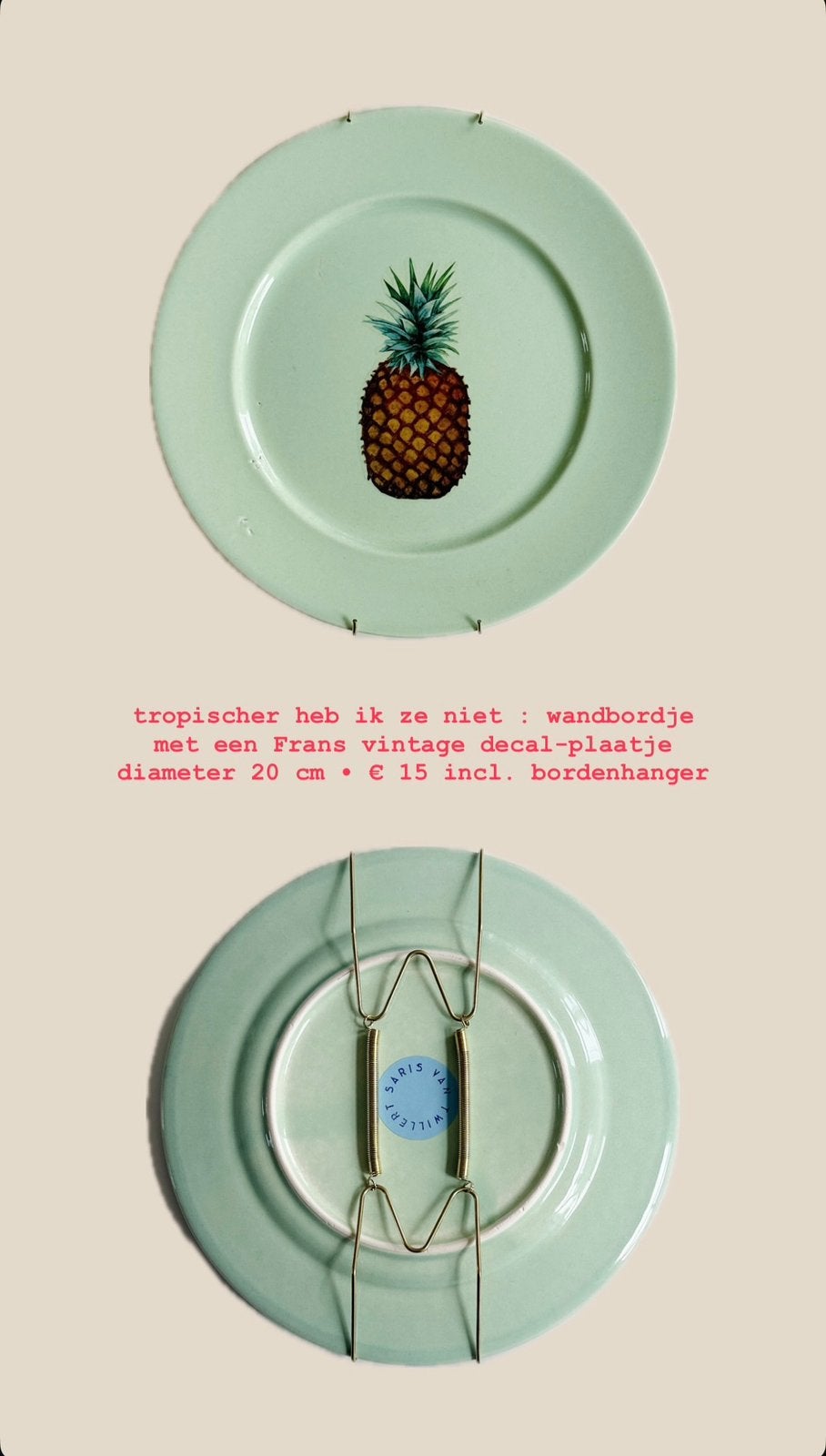 Mintgroen wandbordje met ananas en goudkleurige bordenhanger, Groen, 20 cm, Vintage, Ophalen of Verzenden