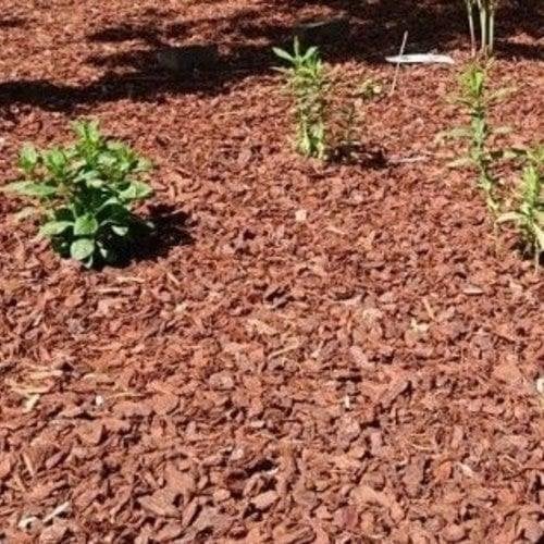 boomschors, Tuin en Terras, Verzenden, Boomschors