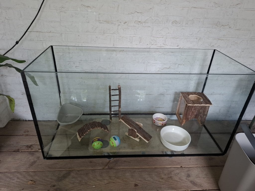 Hamster kooi / terrarium, Kooi, Gebruikt, Muis, 75 tot 110 cm
