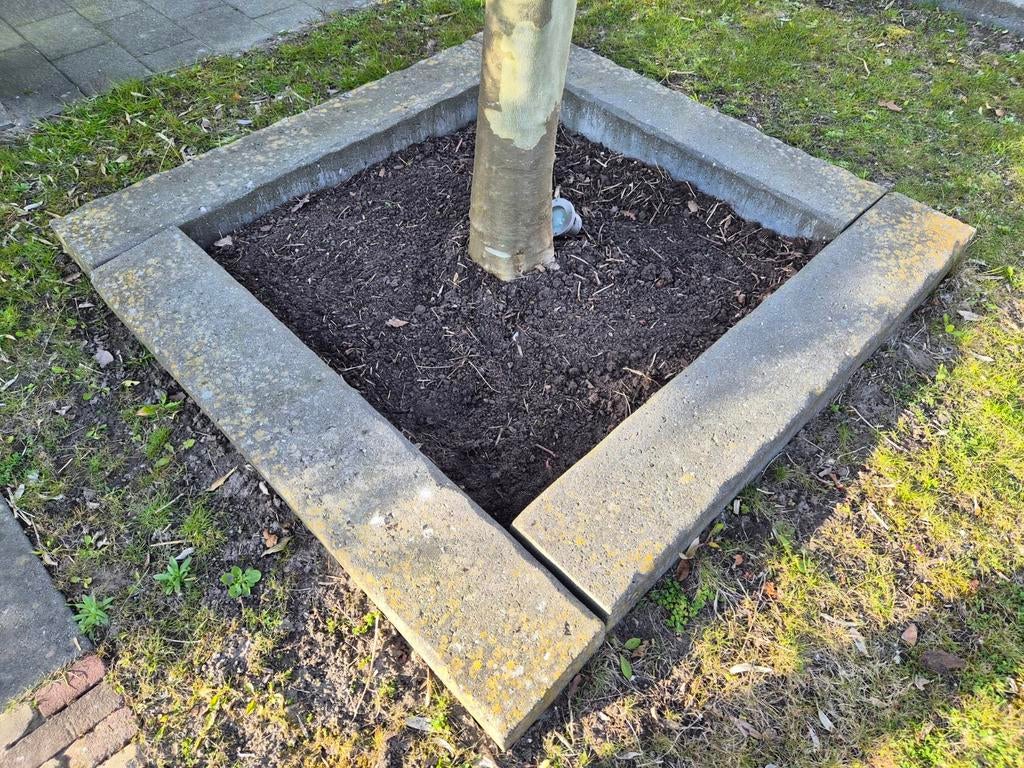12 stuks Bielzen, Tuin en Terras, Bielzen en Borders, Ophalen, 100 tot 200 cm, Biels, Zo goed als nieuw