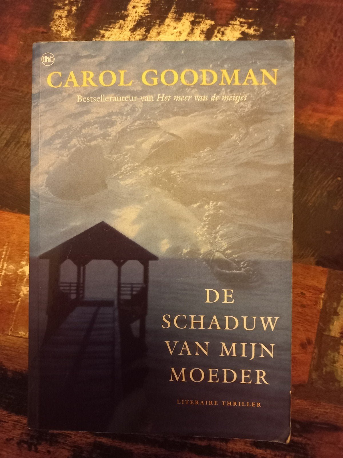 C. Goodman - De schaduw van mijn moeder, Ophalen of Verzenden, Zo goed als nieuw, C. Goodman