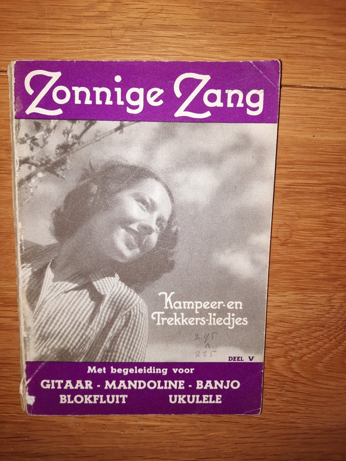 Ukelele,gitaar etc: Zonnige zang-kampeer- en trekkersliedjes, Gebruikt, Keyboard, Ophalen of Verzenden, Artiest of Componist