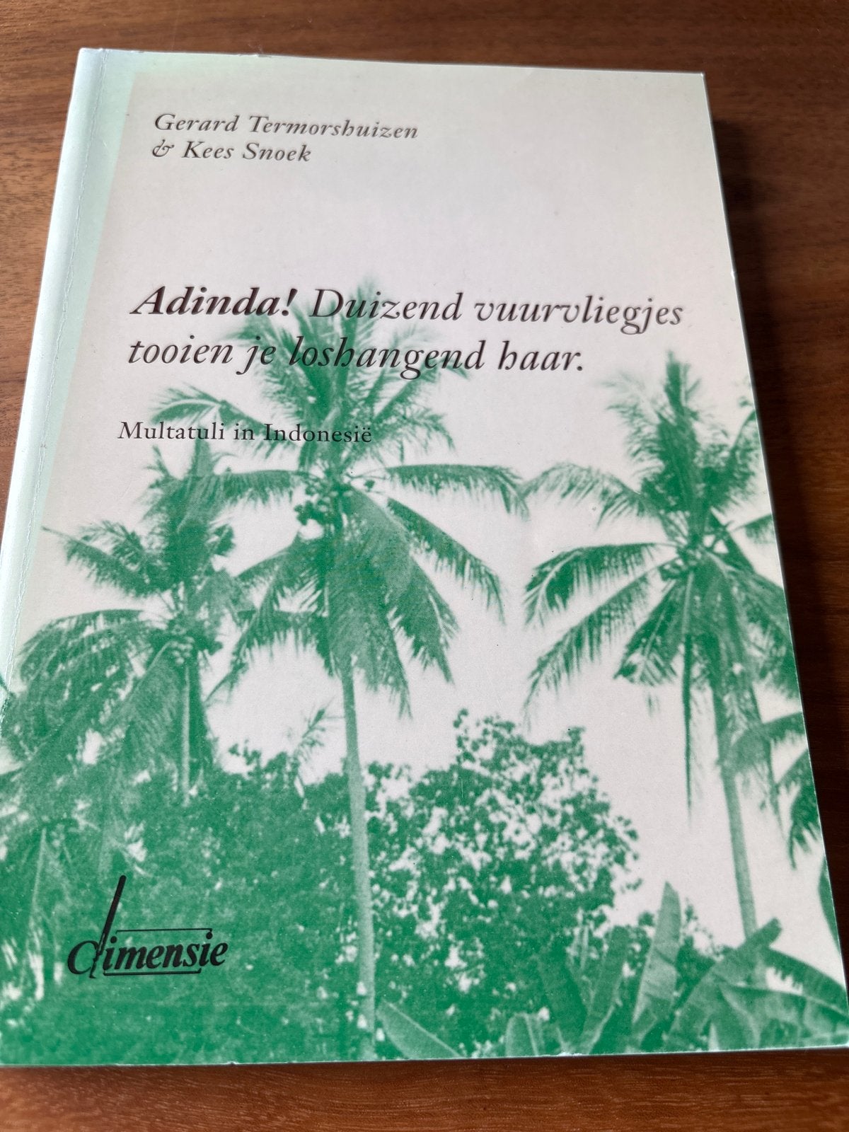 Adinda! Duizend vuurvliegjes - Multatuli in Indonesië, Boeken, Ophalen of Verzenden, Zo goed als nieuw, Nederland
