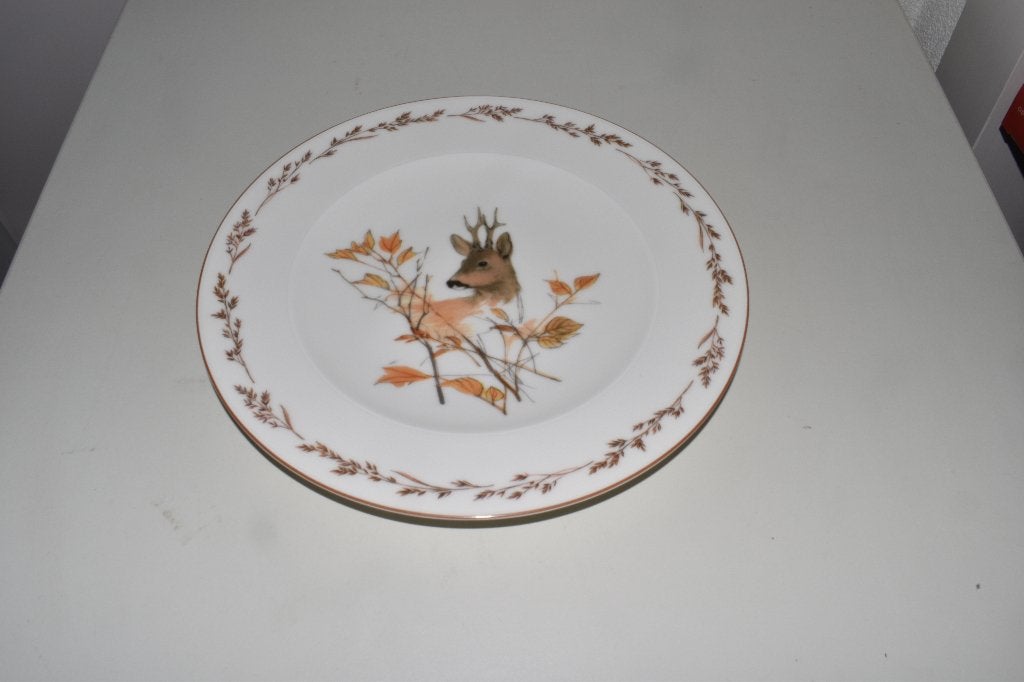 Dinerbord Reebok Natuurservies Tettau, Info@detagrijn.com, Overige merken, Nieuw, Ophalen of Verzenden