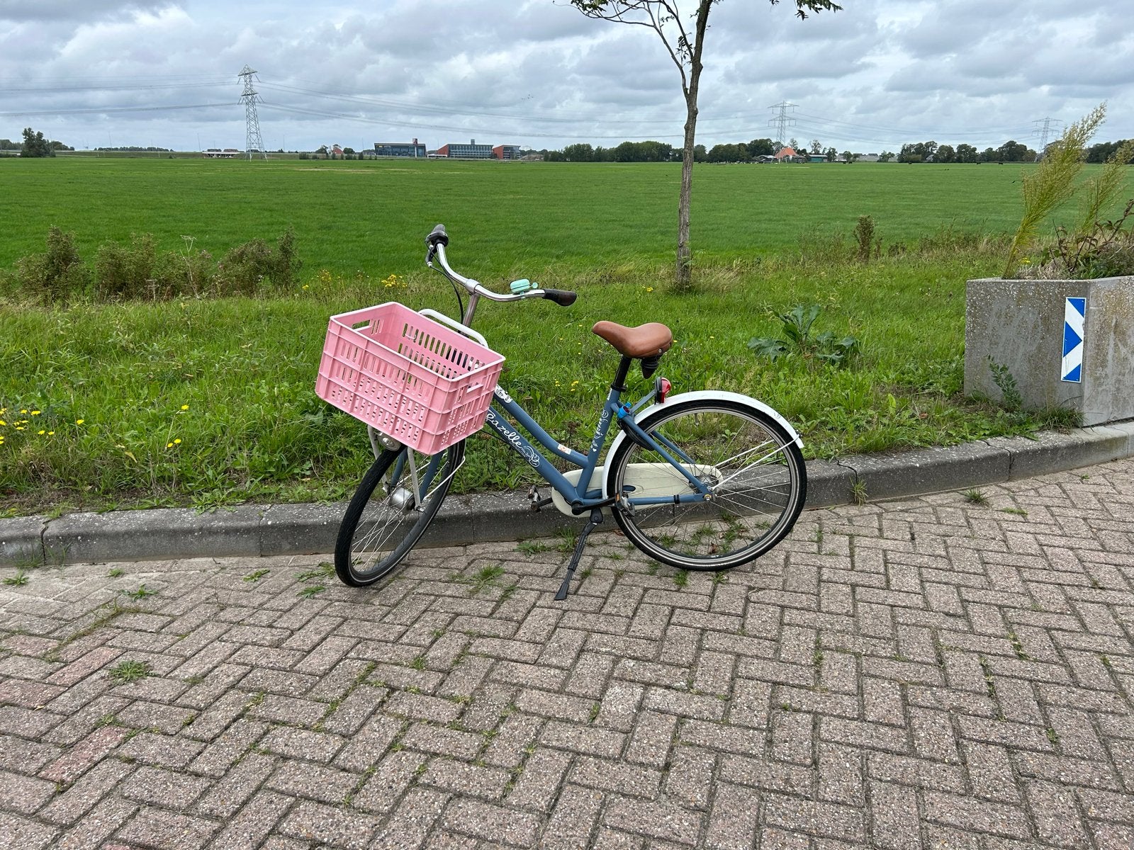 Gazelle fiets, miss Grace girls, met mandje, Ophalen, Gebruikt, Versnellingen, Minder dan 47 cm