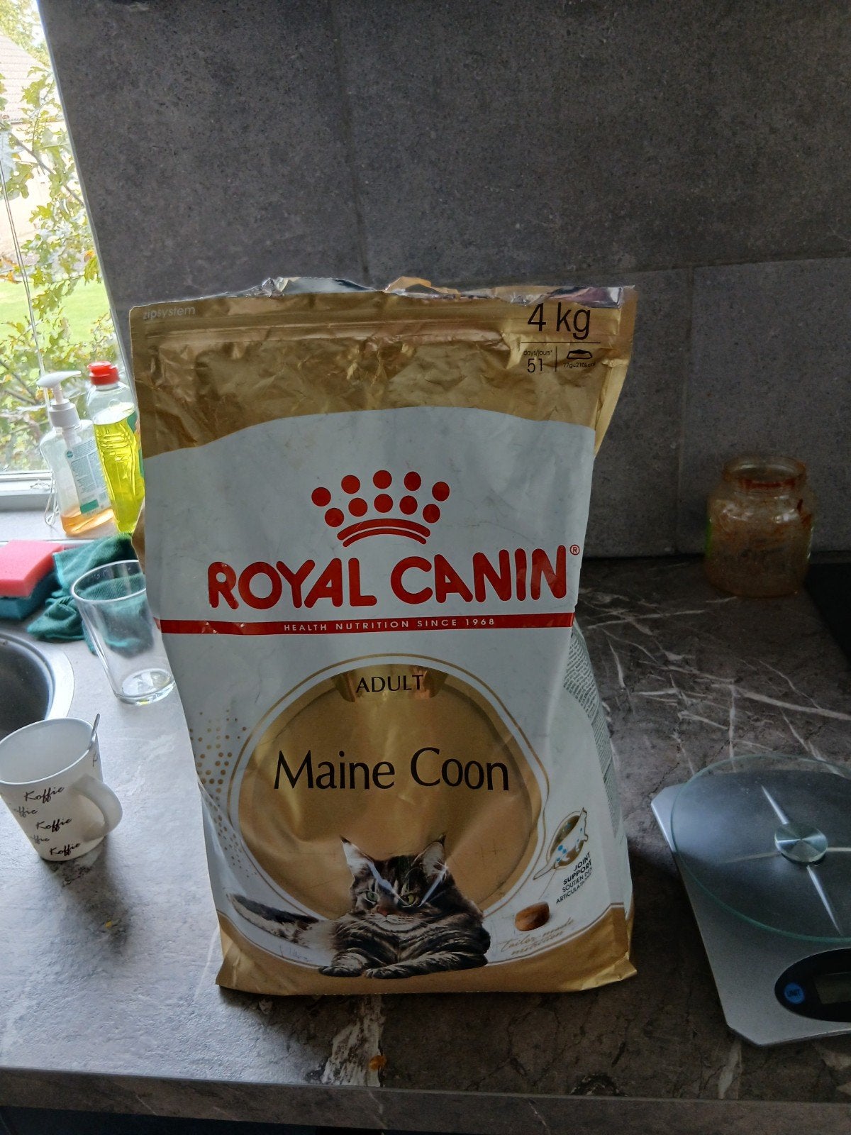 3,4 kg royal canin mainecoon, Ophalen, Kat
