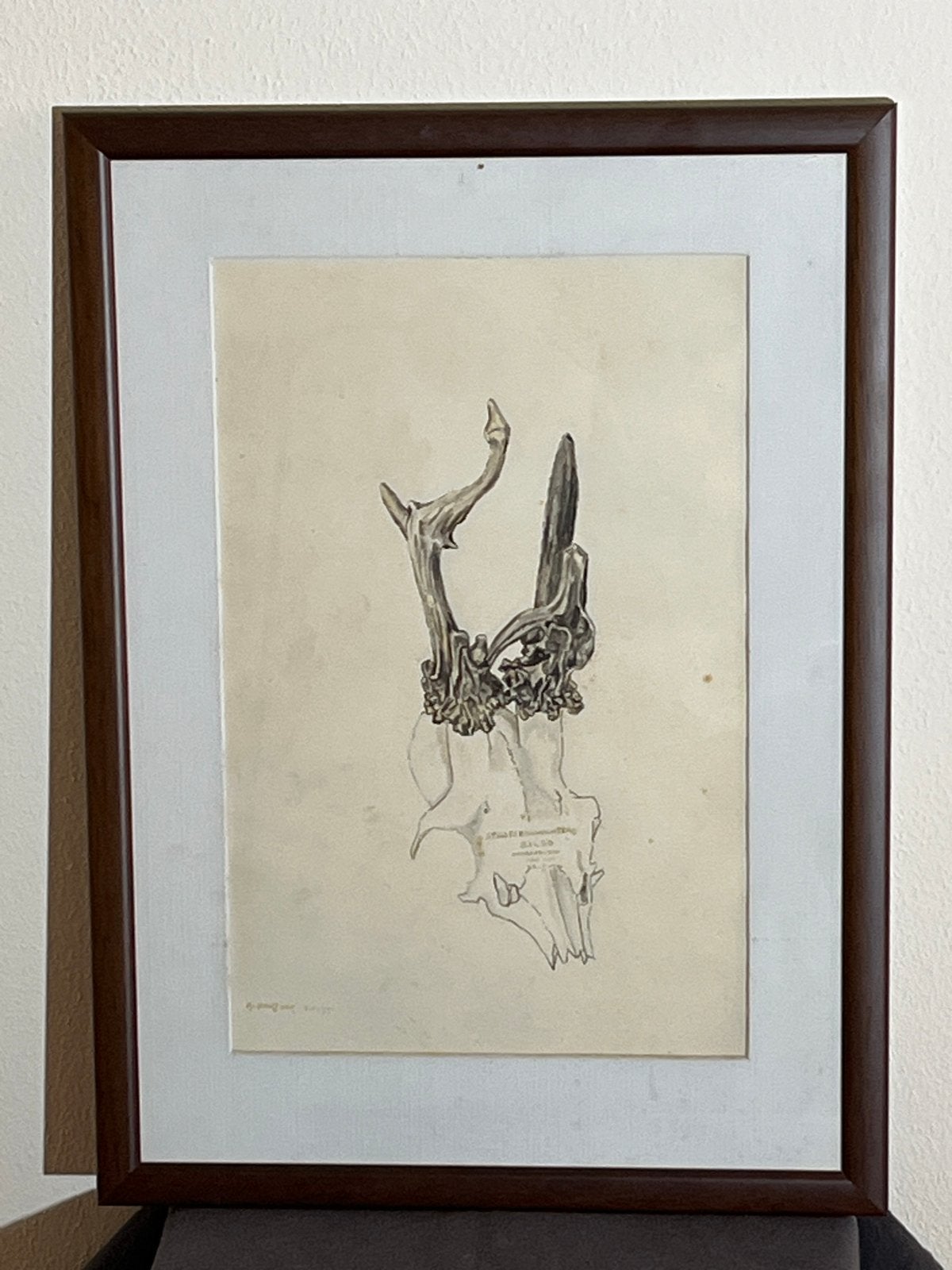 Vintage Tekening van Hertengewei in Lijst, Antiek en Kunst, Ophalen of Verzenden, Tekening, Potloodtekening, Ingelijst