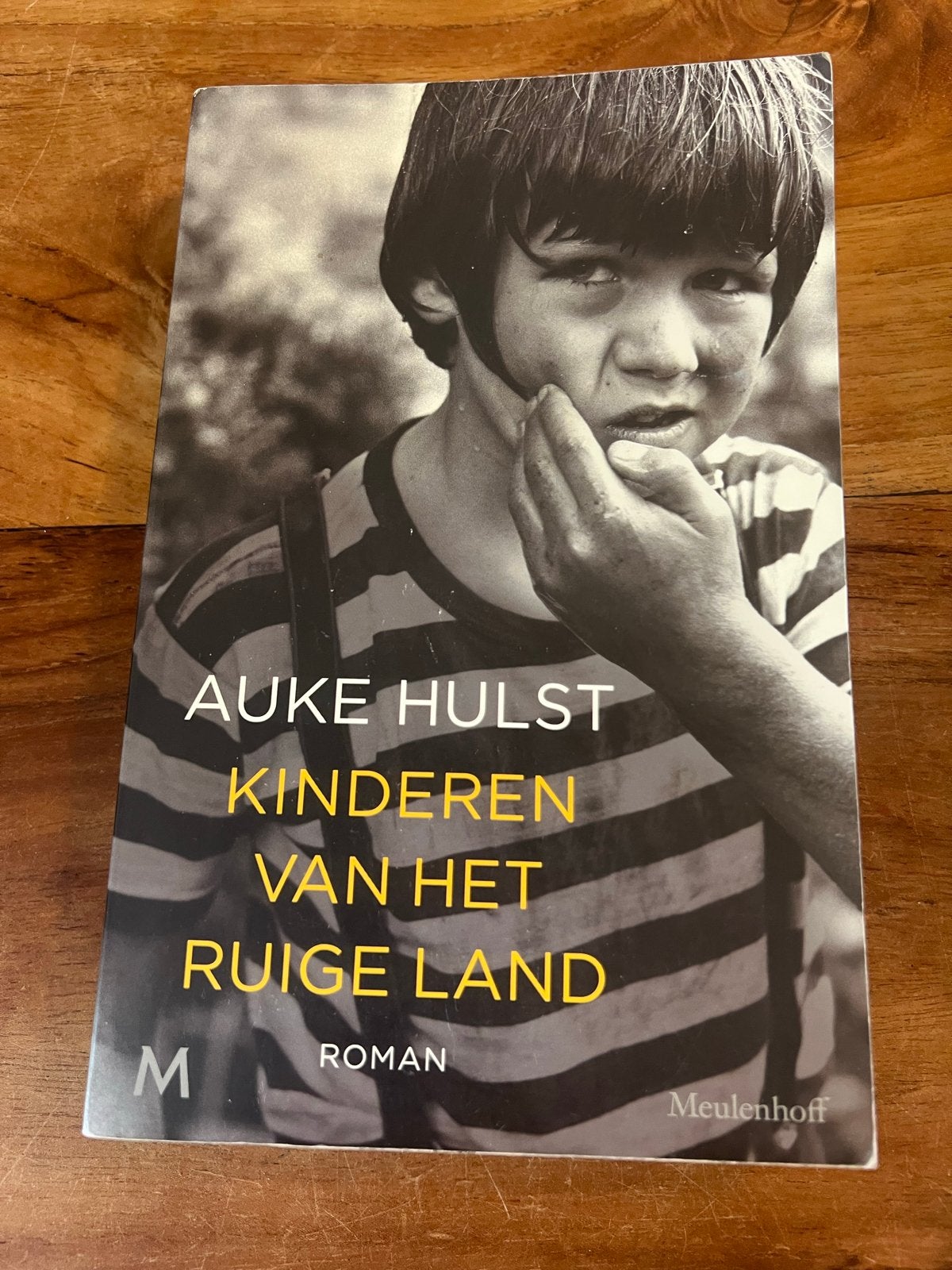 Kinderen van het Ruige Land - Auke Hulst (Roman), Ophalen of Verzenden, Zo goed als nieuw, Nederland
