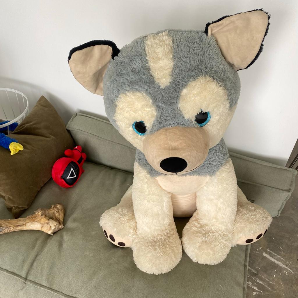 Grote knuffelhond Husky - Zo goed als nieuw, Overige merken, Overige karakters, Grijs, Zo goed als nieuw