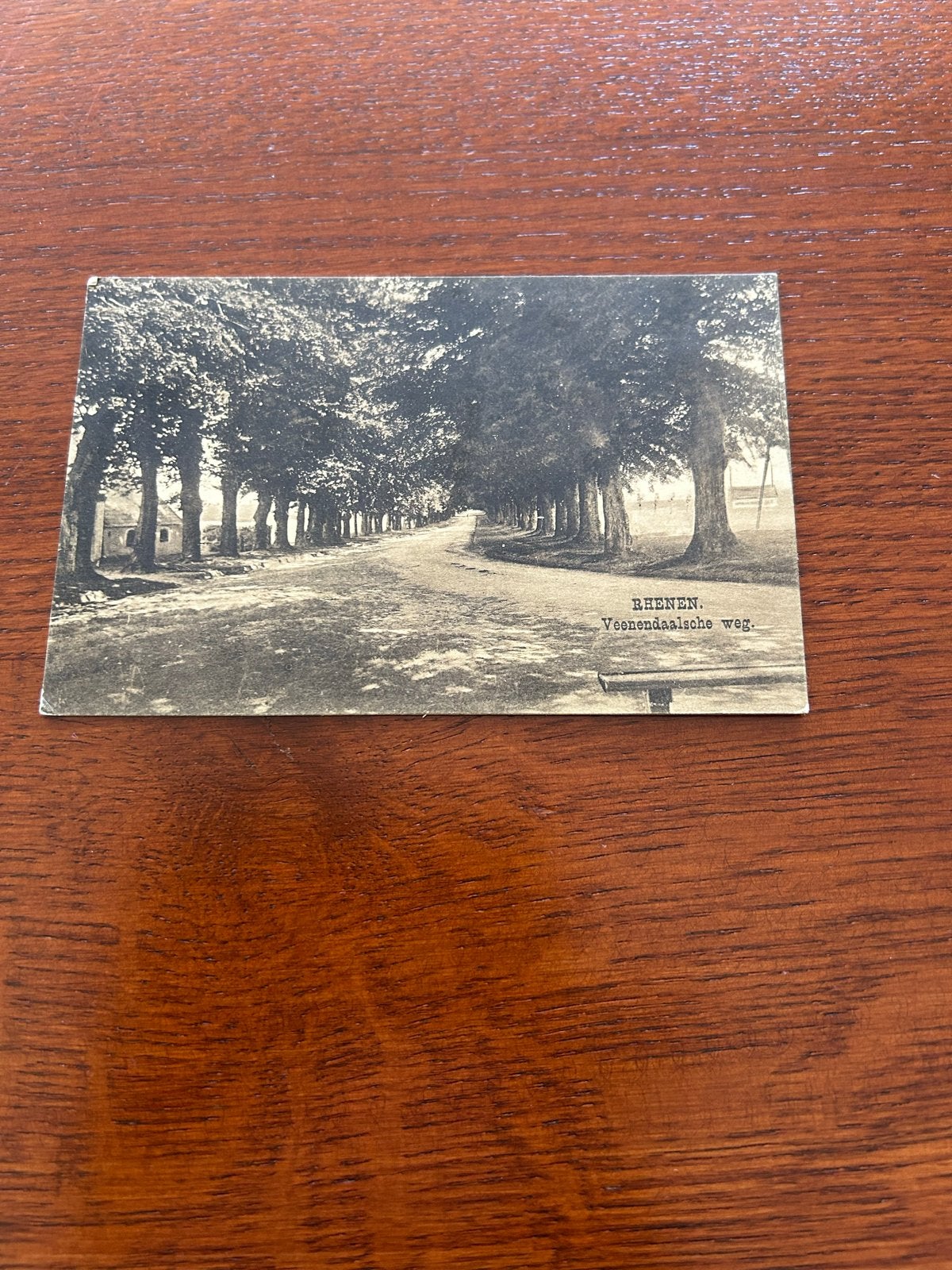 Oude Ansichtkaart Rhenen - Veenendaalsche weg (Gelopen), Verzamelen, Ophalen of Verzenden, Voor 1920, Gelopen, Gelderland