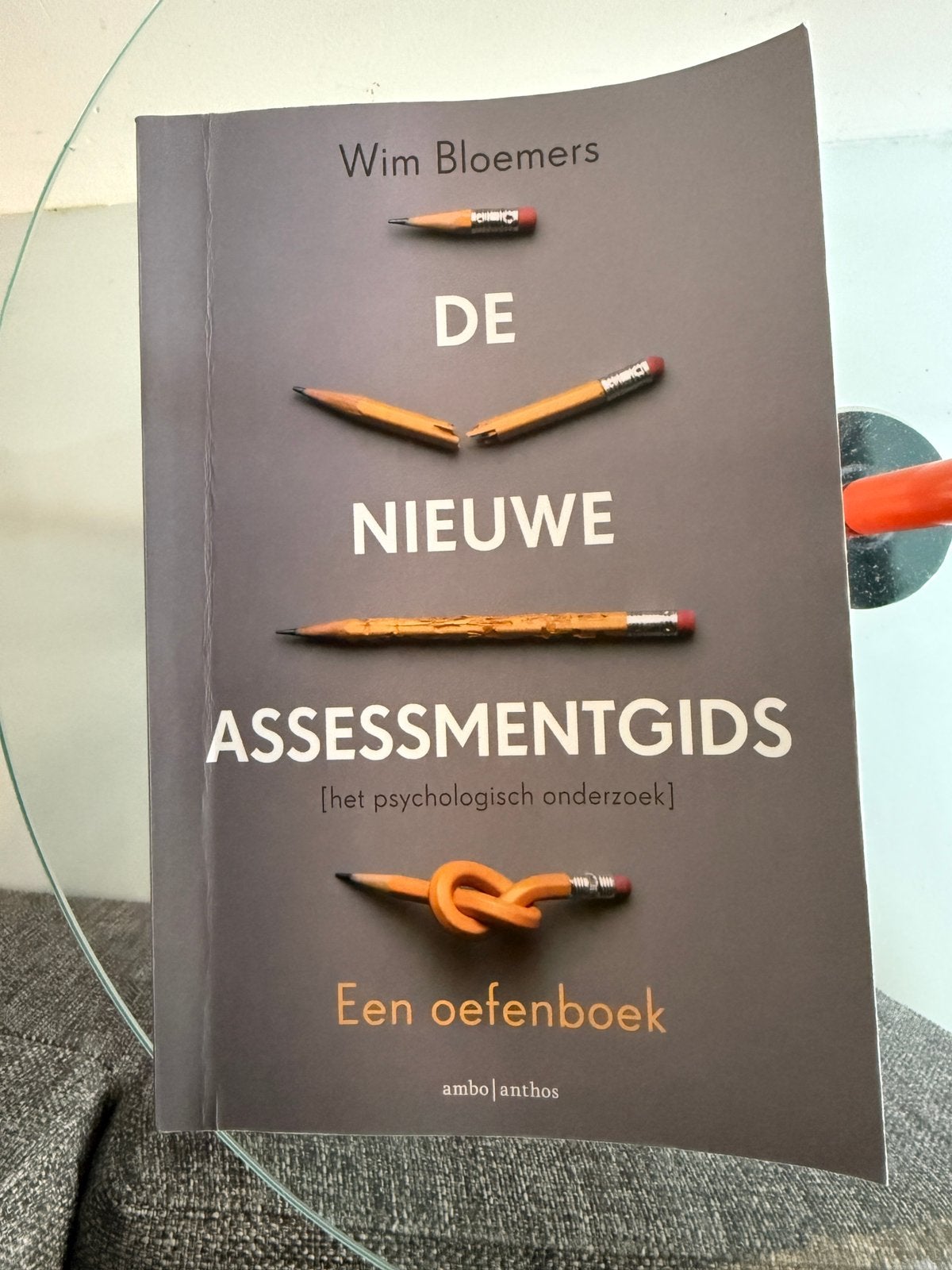De Nieuwe Assessmentgids boek - Wim Bloemers, Boeken, Ophalen of Verzenden, Zo goed als nieuw, Spiritualiteit algemeen, Achtergrond en Informatie