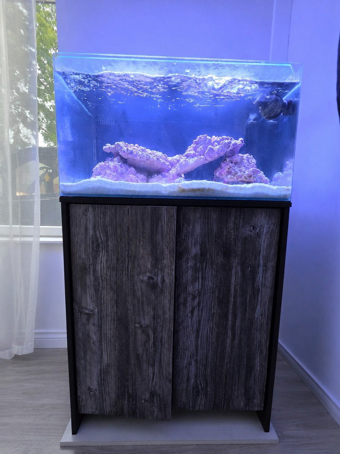 Blue Marine Reef 160 Complete Zeeaquarium + Veel Extra's, Dieren en Toebehoren, Vissen | Aquaria en Toebehoren, Ophalen, Gevuld zeewateraquarium