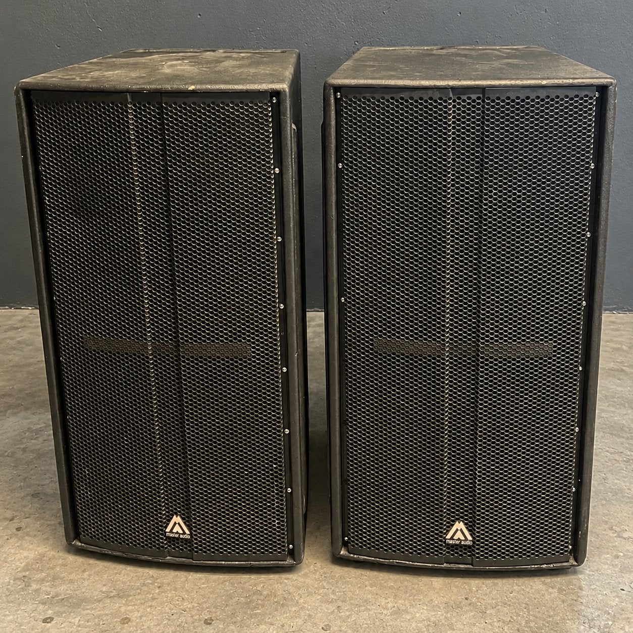 Master Audio P318A Professionele Actieve Speakerset, Audio, Tv en Foto, Vloerstaande luidspreker, Gebruikt, Inclusief kabels, Ophalen of Verzenden
