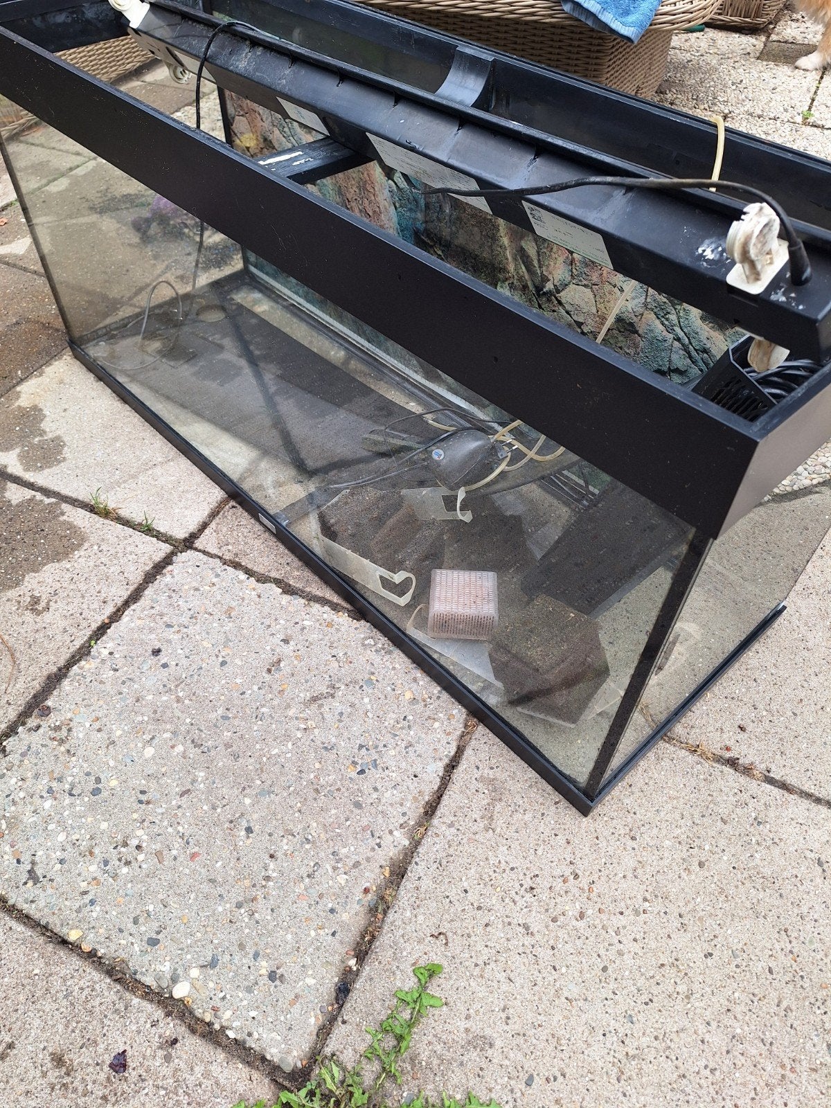 Juwel aquarium, Ophalen, Inclusief deksel, Gebruikt, Leeg aquarium