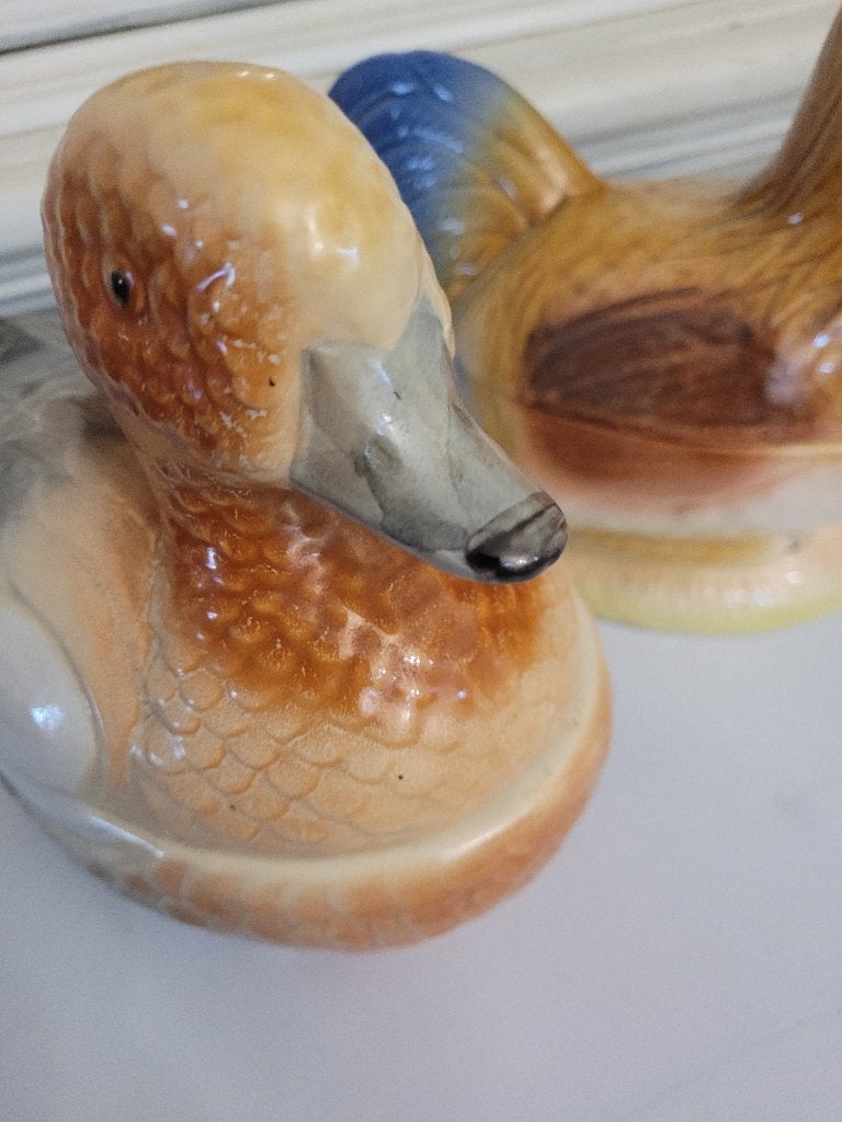 Zeer oude Franse patevorm eend, Antiek en Kunst, Curiosa en Brocante, Ophalen of Verzenden