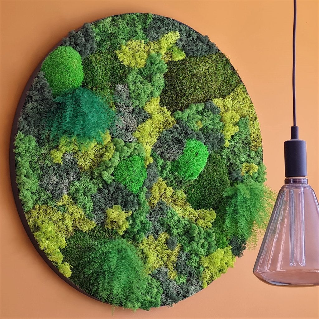 Handgemaakt rond mosschilderij / moscirkel 70cm, Groen, 70 cm, Geluiddempend, Nieuw