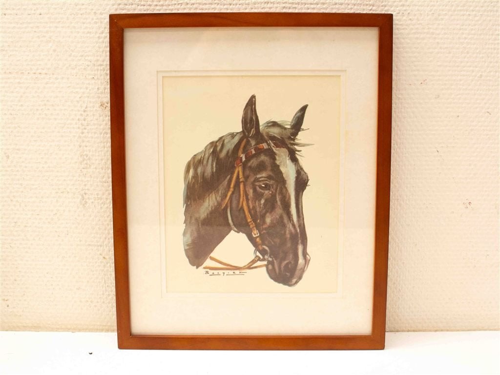 Prent van een Paardenhoofd 3807