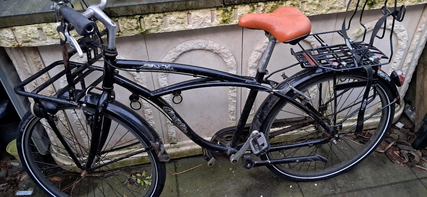 Straks naar de grote school,  Gazelle Transportfiets, Fietsen en Brommers, Fietsen | Dames | Damesfietsen, Ophalen, Terugtraprem