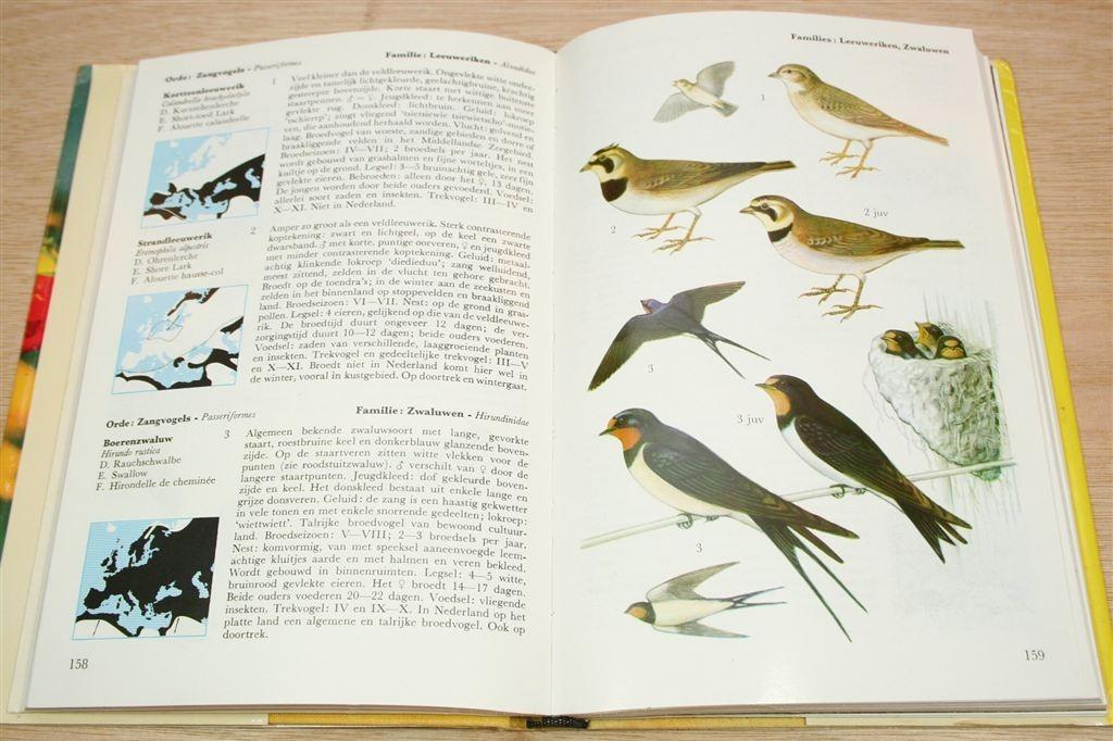 Welke vogel is dat? — Thieme\'s Natuurgidsen [1980], Ophalen of Verzenden, Gelezen, Vogels