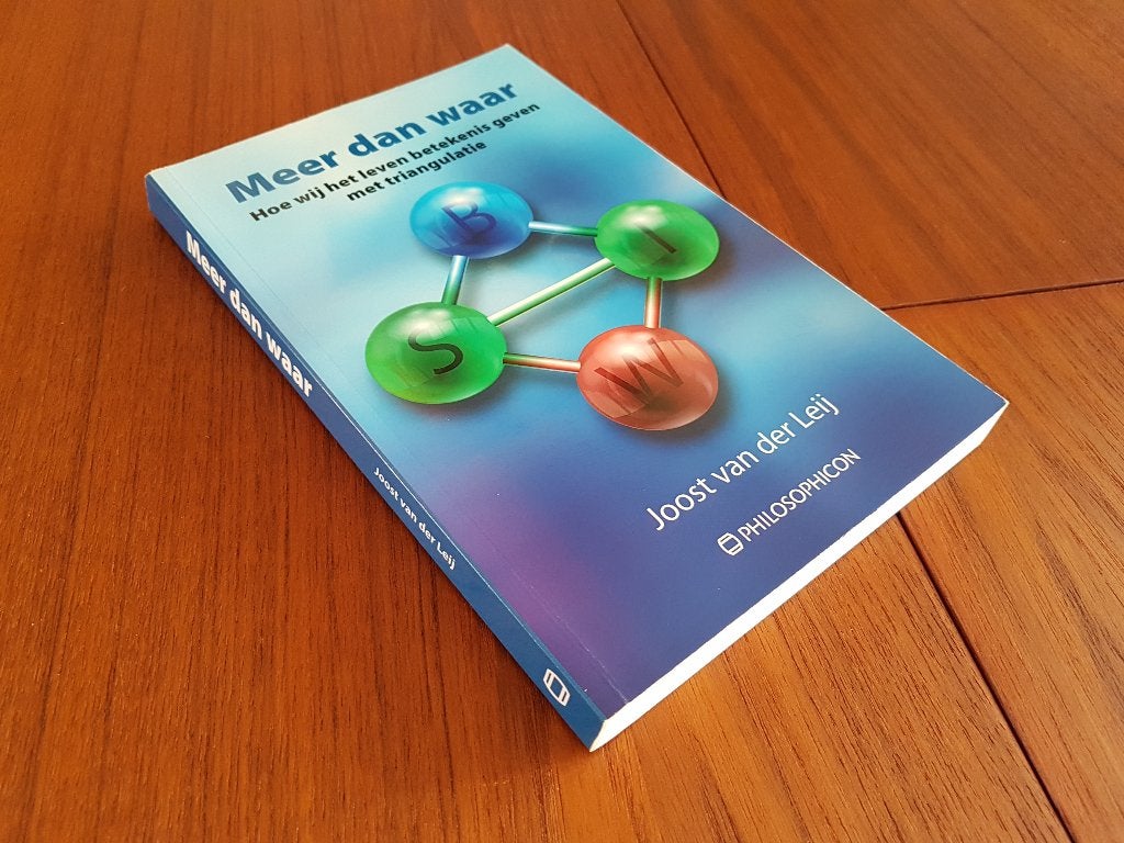 MEER DAN WAAR -  Leven betekenis geven met Triangulatie, Boeken, Achtergrond en Informatie, Ophalen of Verzenden, Zo goed als nieuw