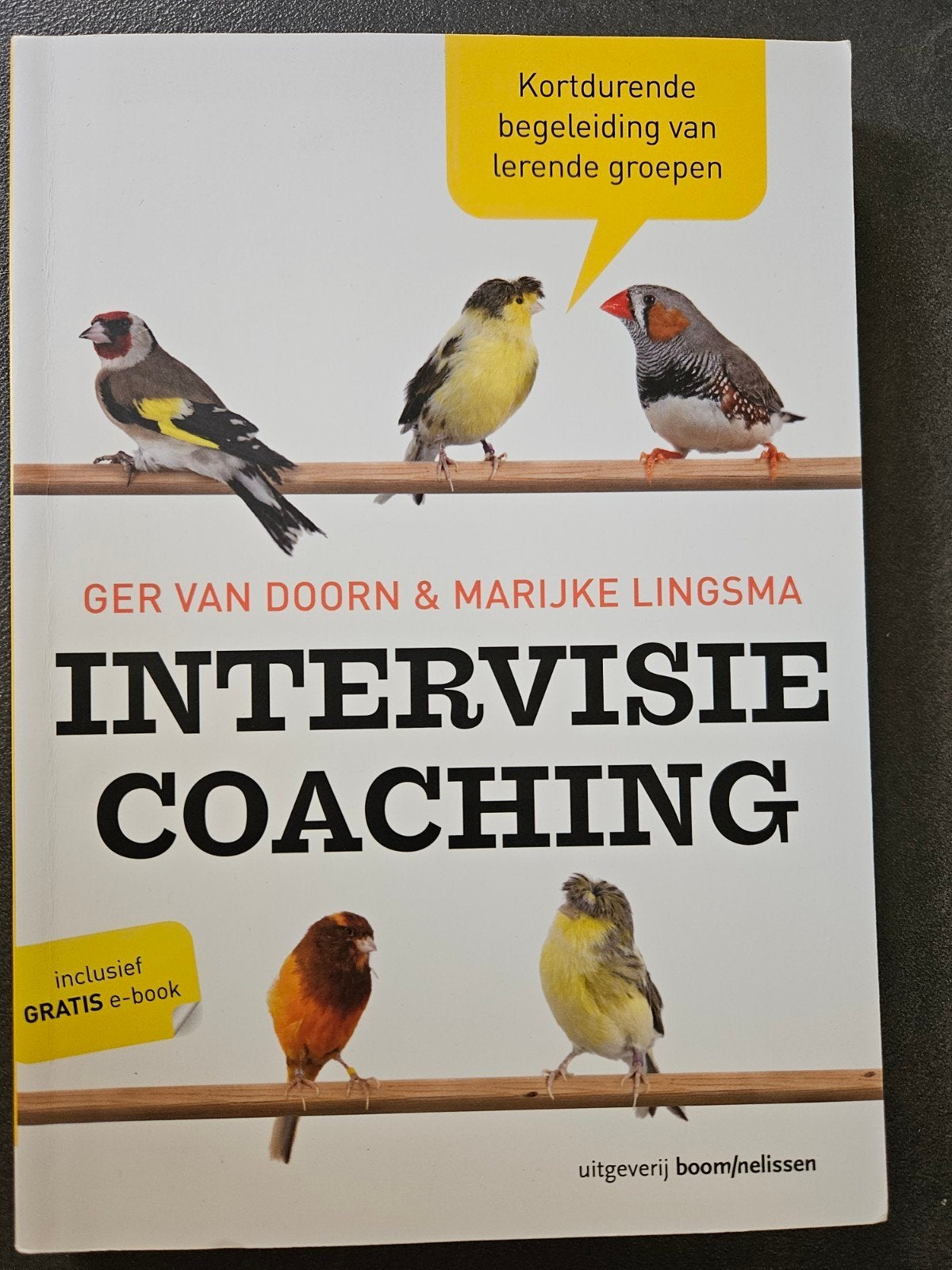 Ger van Doorn - Intervisiecoaching, Boeken, Ophalen of Verzenden, Zo goed als nieuw, Ger van Doorn; Marijke Lingsma
