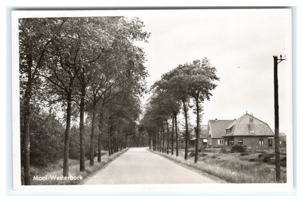 Westerbork, Mooi-Westerbork, Ophalen of Verzenden, 1940 tot 1960, Ongelopen, Drenthe